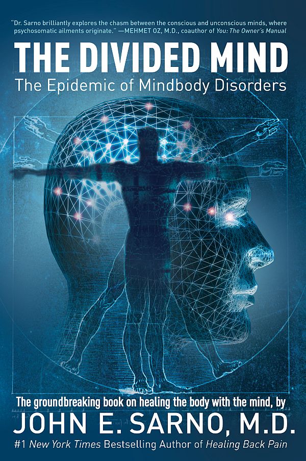 The Divided Mind: The Epidemic of Mindbody Disorders ebook cover