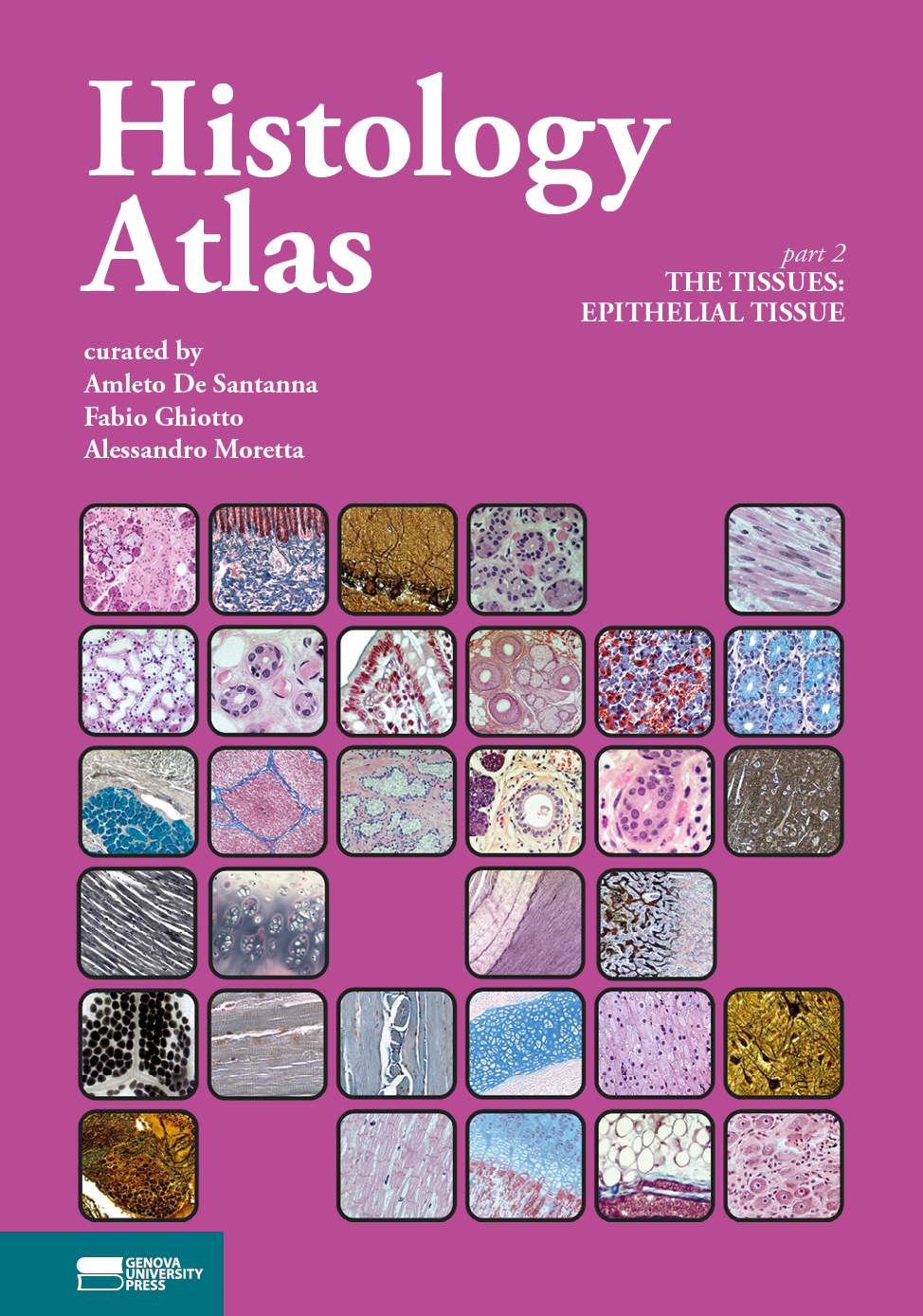 Histology Atlas_part2 ebook cover