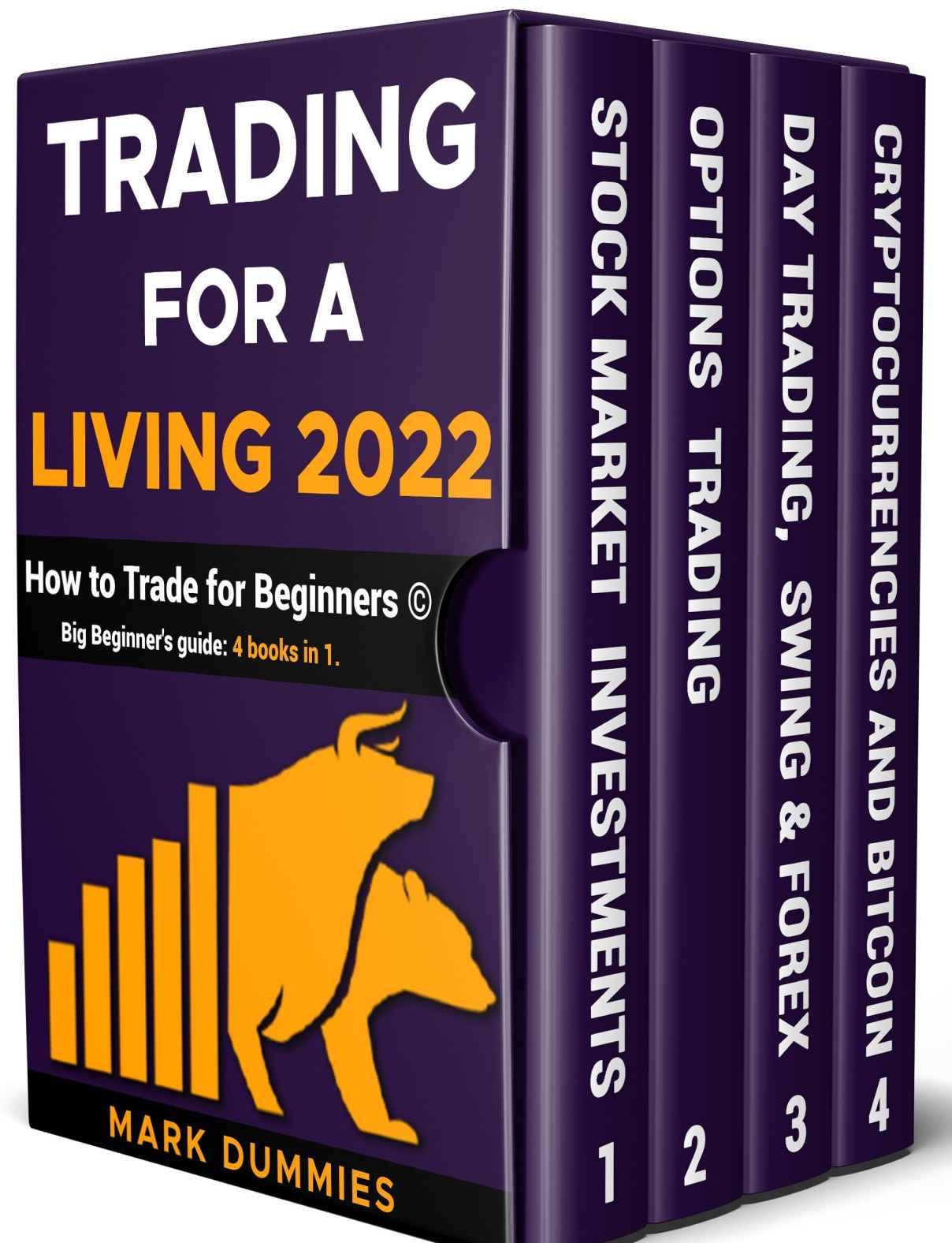 TRADING FOR A LIVING 2022: How to Trade for Beginners ebook cover