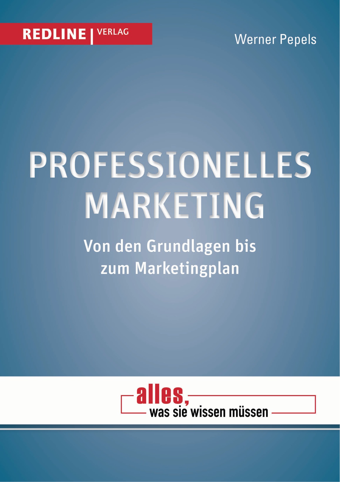 Professionelles Marketing - von den Grundlagen bis zum Marketingplan ebook cover