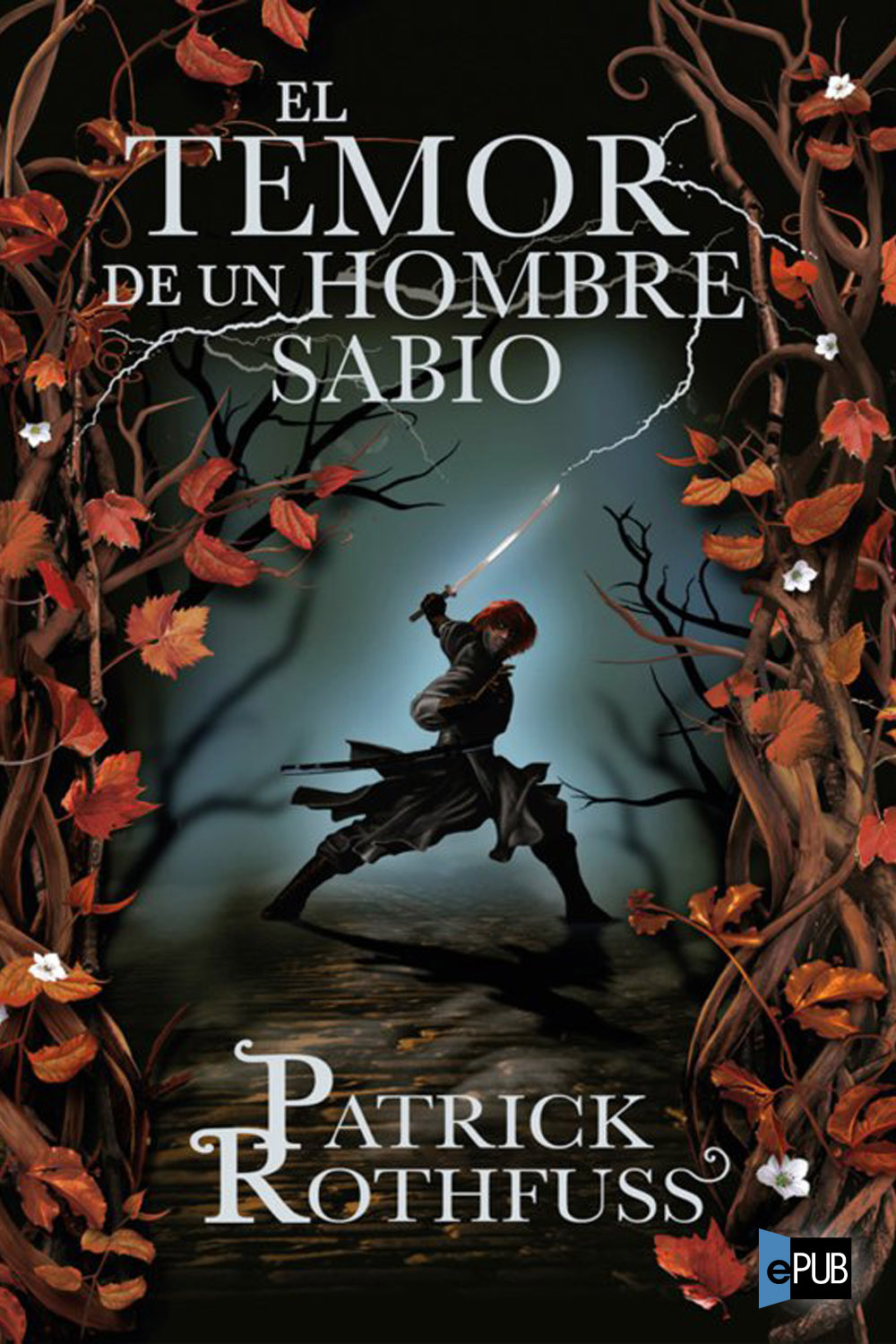 El Temor de un Hombre Sabio ebook cover