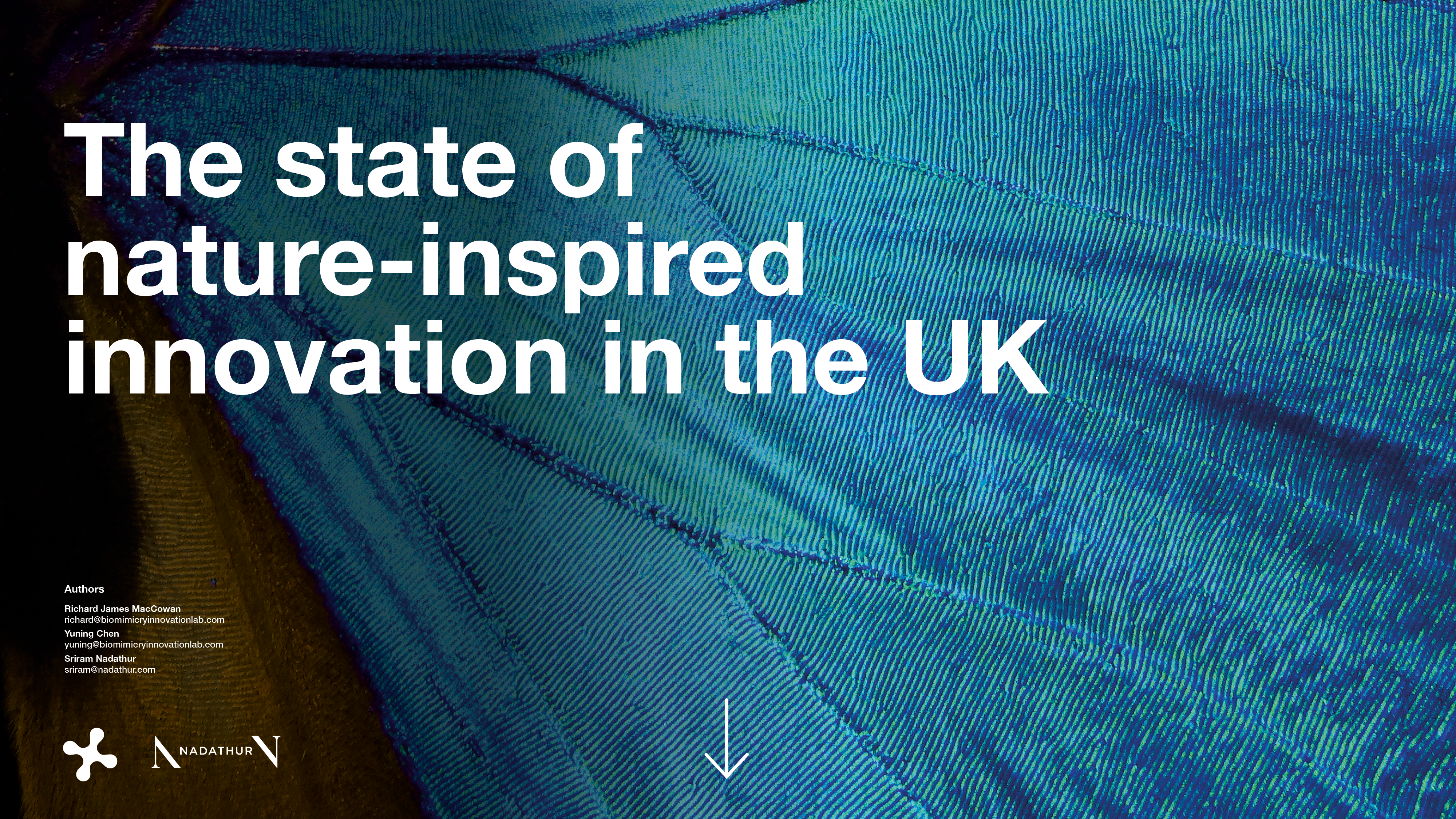 Biomimicry_Nature-inspired Report 2021 ebook cover