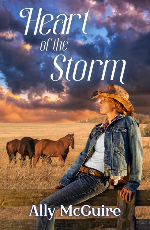 Heart of the Storm ebook cover