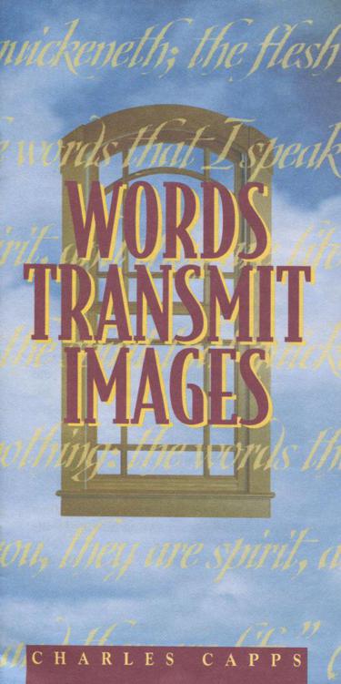 Words Transmit Images ebook cover