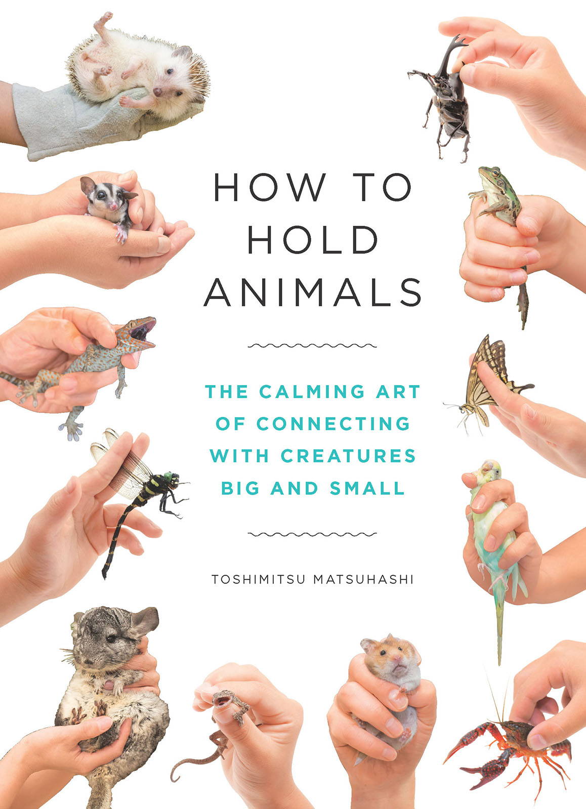 How to Hold Animals ebook cover