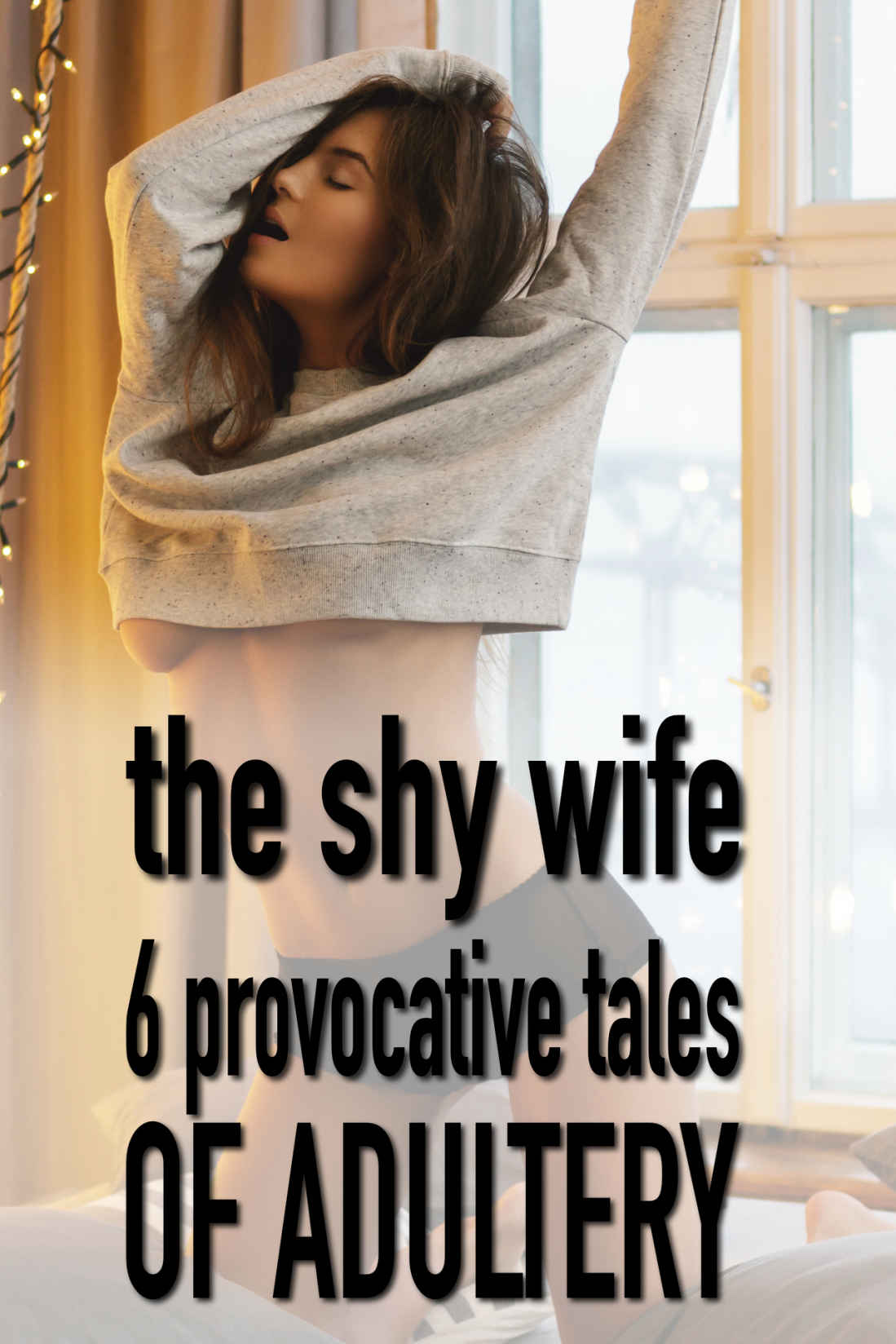 The Shy Wife: 6 provocative tales of adultery (Bundles of Short Stories about Hotwives and Cuckolds 1) ebook cover