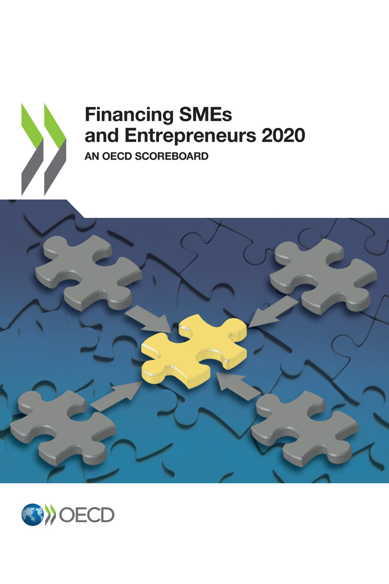 Financing SMEs and Entrepreneurs 2020 ebook cover