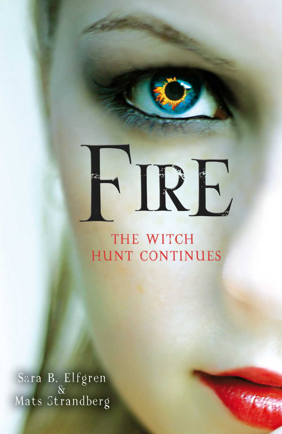 Fire ebook cover