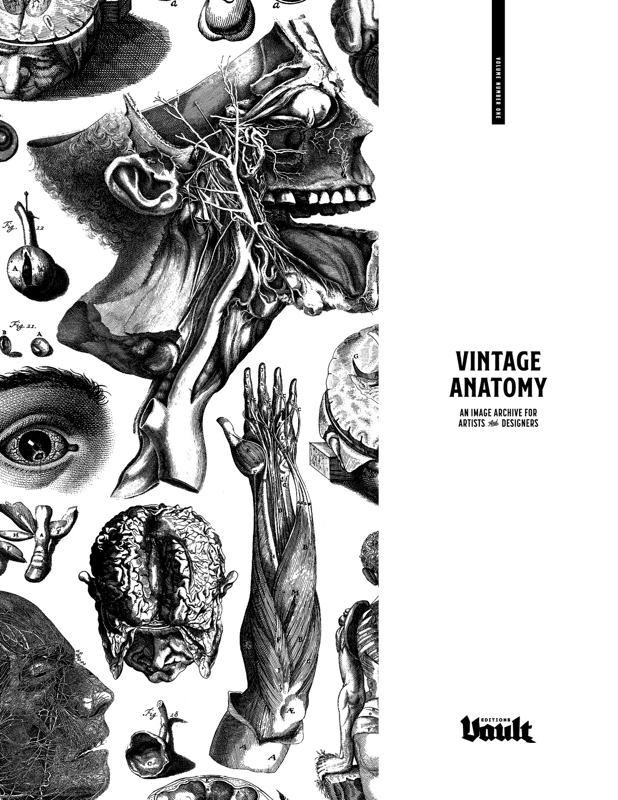 Vintage-Anatomy ebook cover