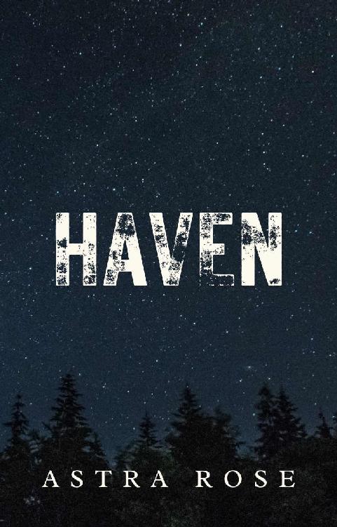Haven: A Reverse Harem Novel ebook cover