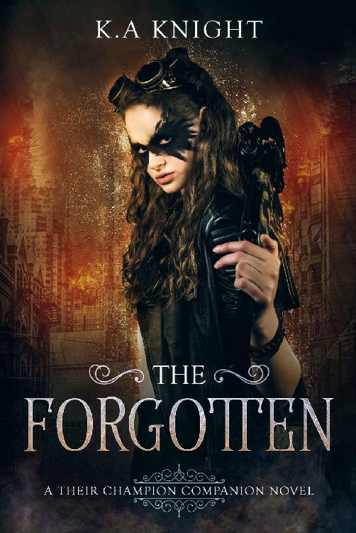 The Forgotten (Their Champion Companion Novel Book 1) ebook cover