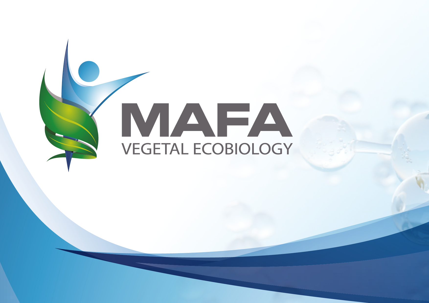 PRESENTASCION MAFA ebook cover