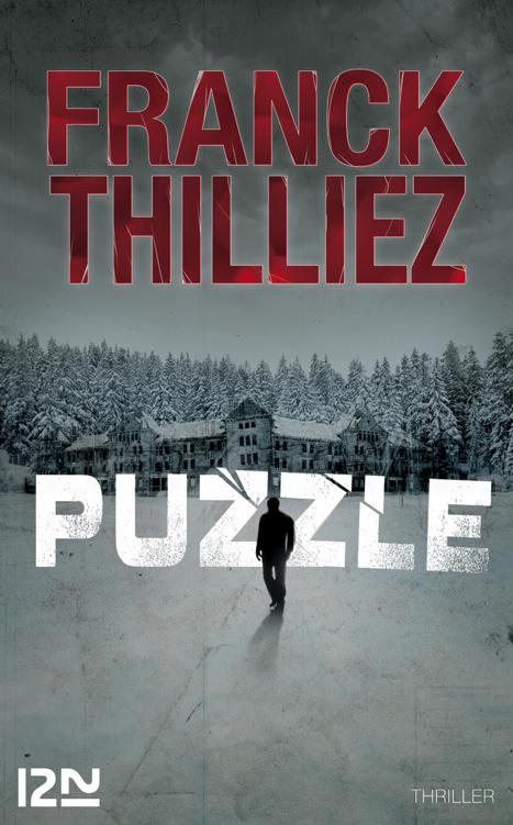 Puzzle ebook cover