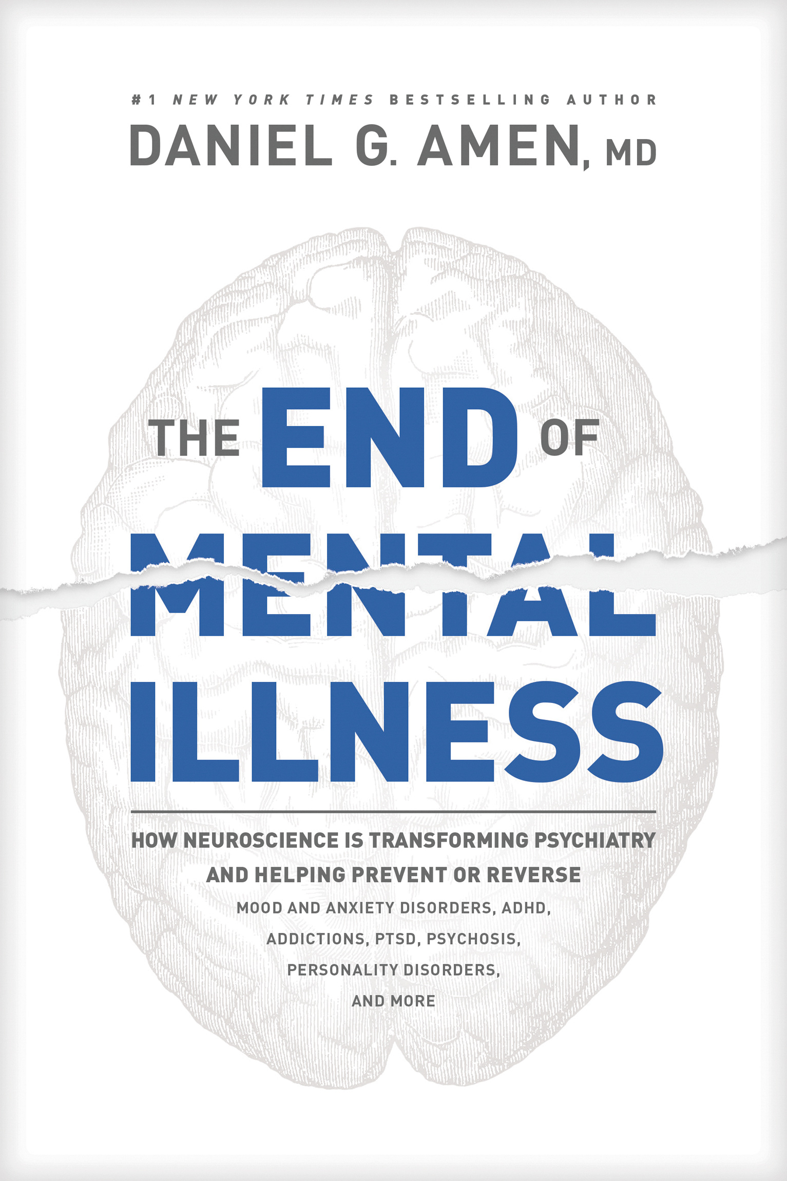 The End of Mental Illness ebook cover