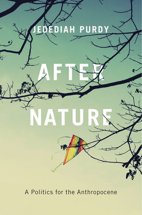 After Nature: A Politics for the Anthropocene ebook cover