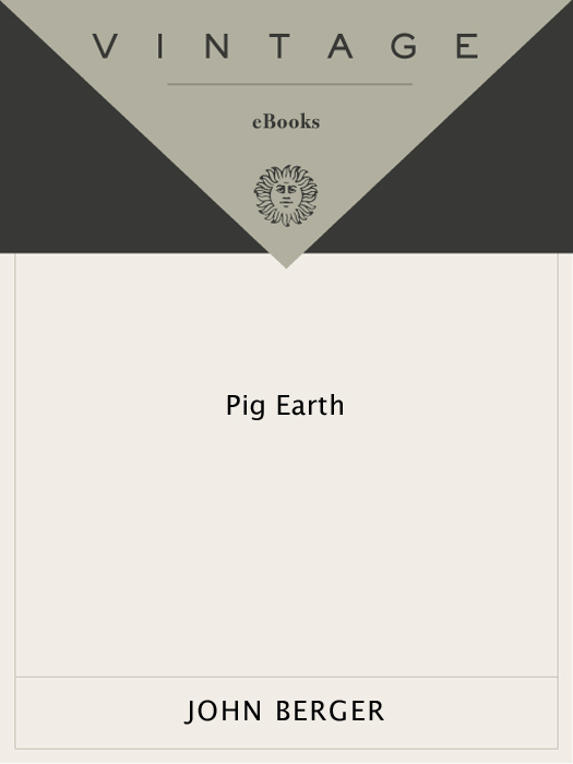 Pig Earth ebook cover