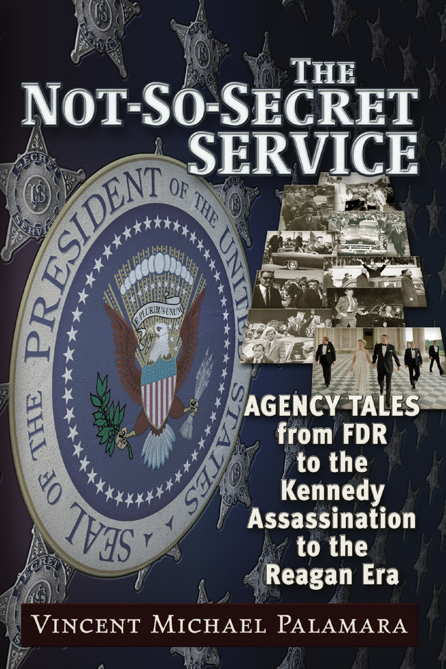 The Not-So-Secret Service ebook cover