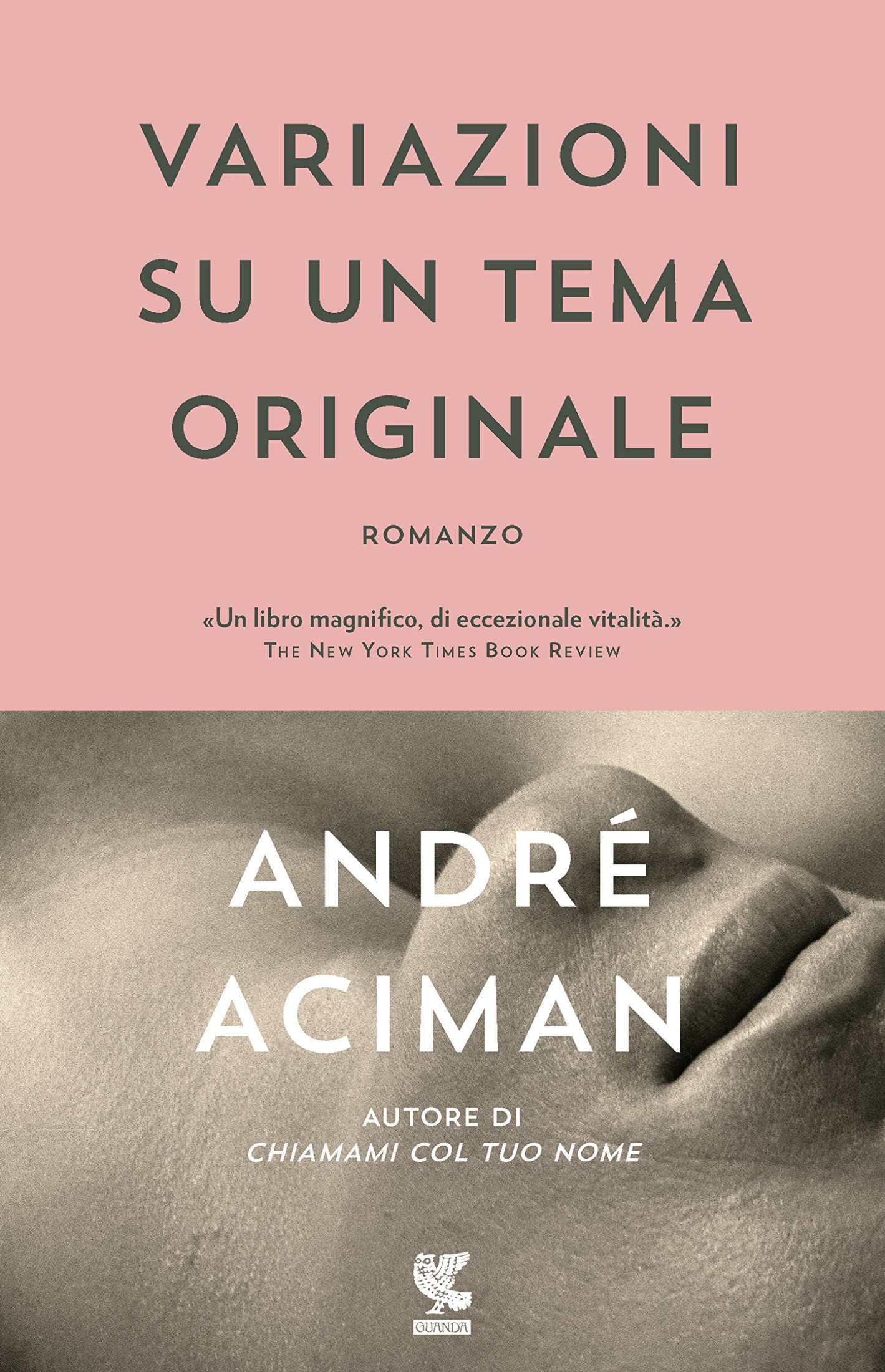 Variazioni su un tema originale ebook cover