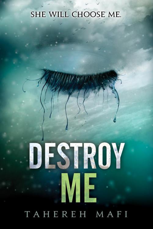 Destroy Me ebook cover