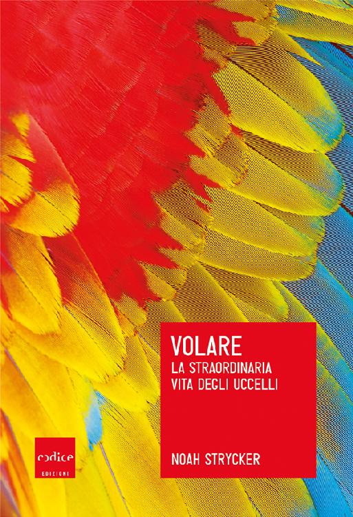 Volare: La straordinaria vita degli uccelli (Italian Edition) ebook cover