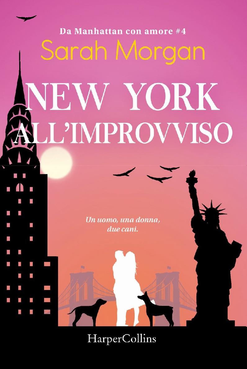 New York, all'improvviso ebook cover