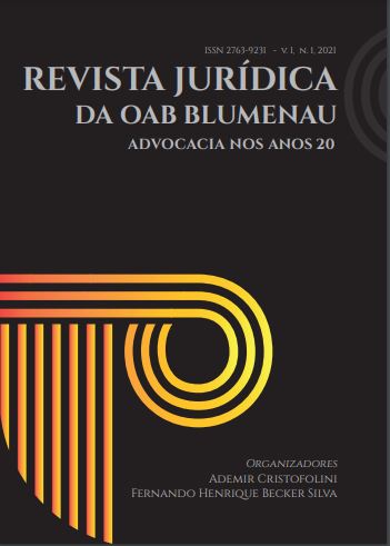 Revista Jur&Atilde;&shy;dica da OAB Blumenau ebook cover
