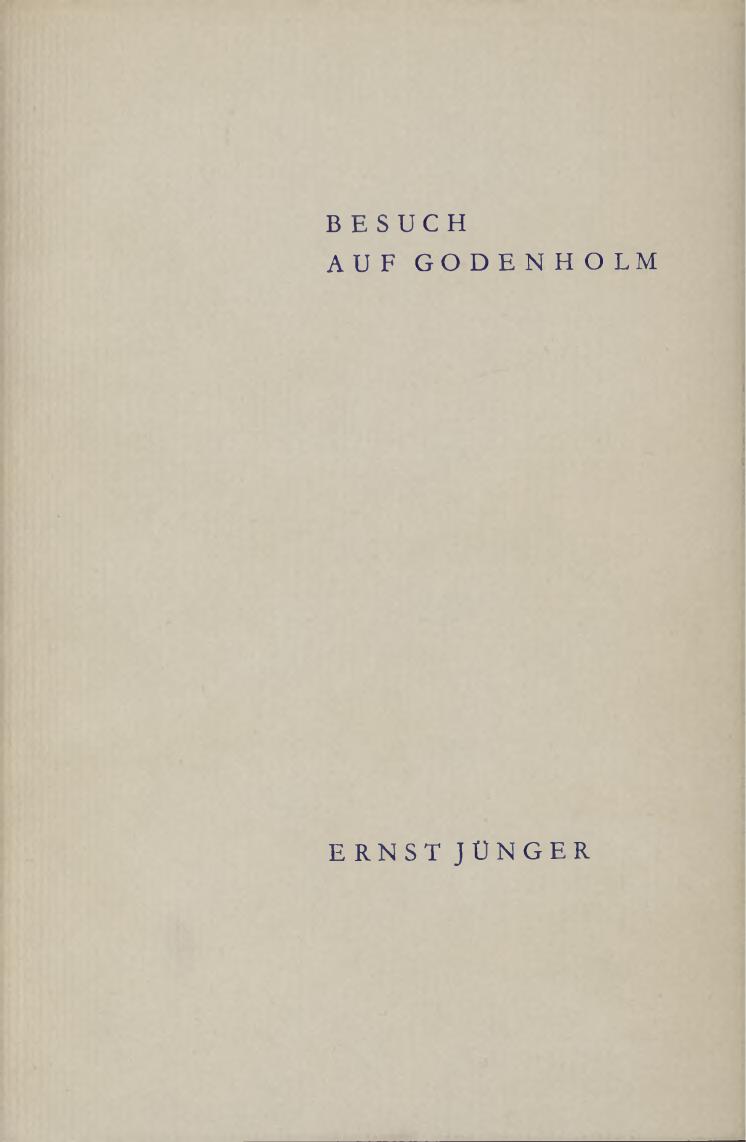 Besuch auf Godenholm ebook cover