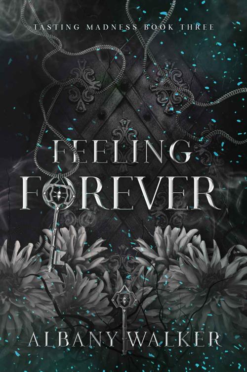 Feeling Forever (Tasting Madness Book 3) ebook cover
