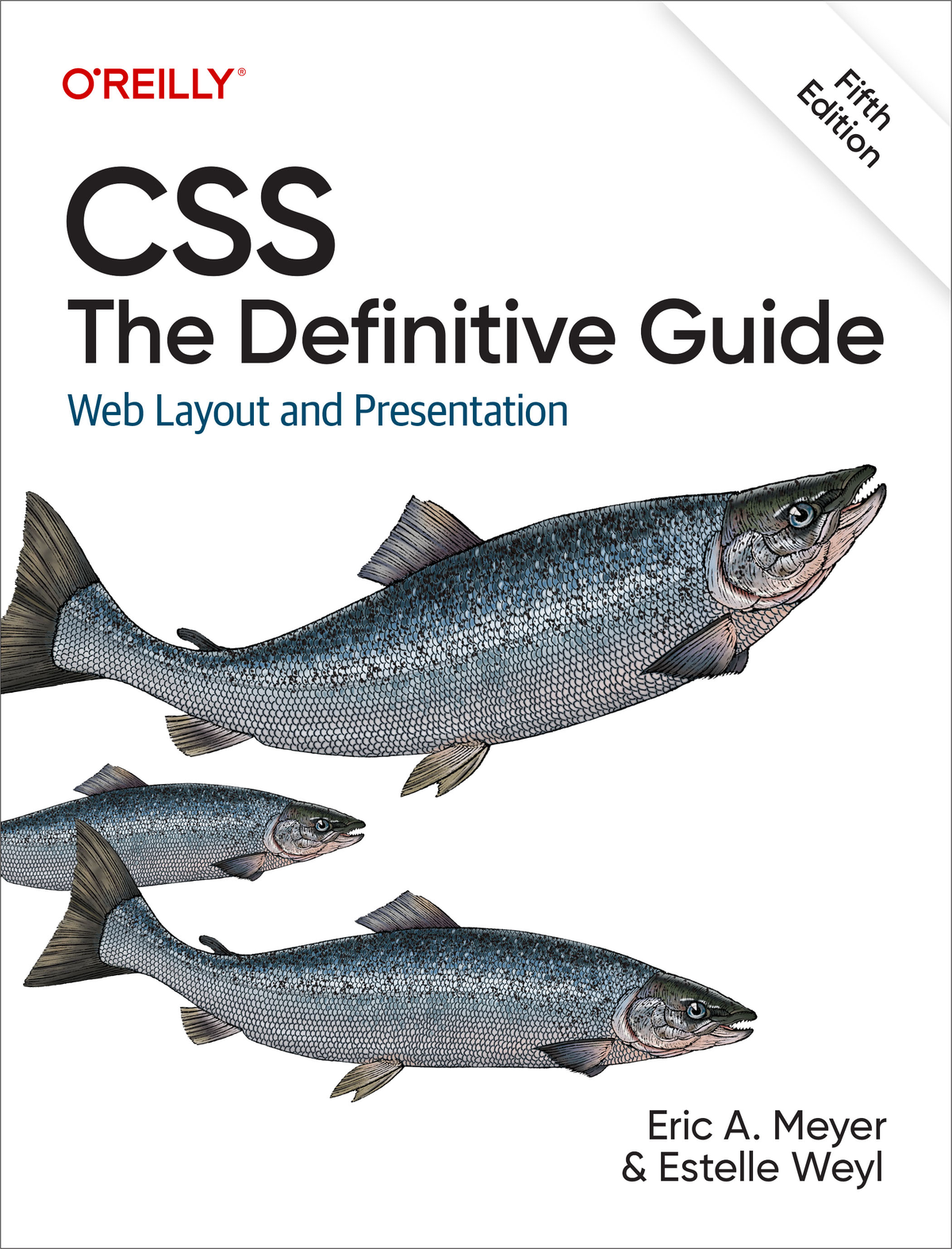 CSS: The Definitive Guide (for True Epub) ebook cover