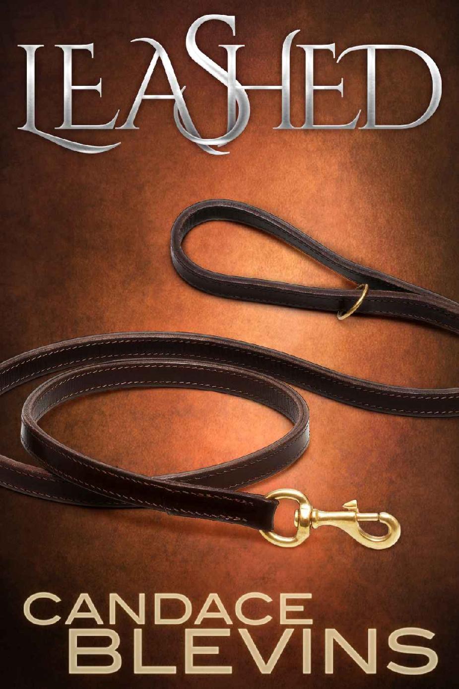 Leashed (Dark Underbelly Book 3) ebook cover