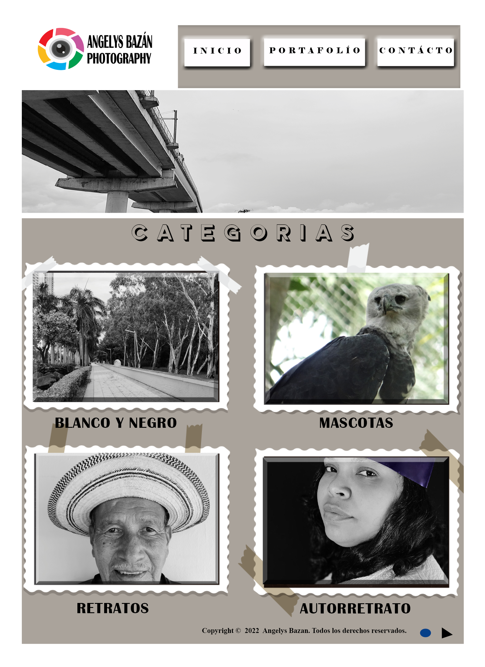 Pagina web Angelys Bazan ebook cover