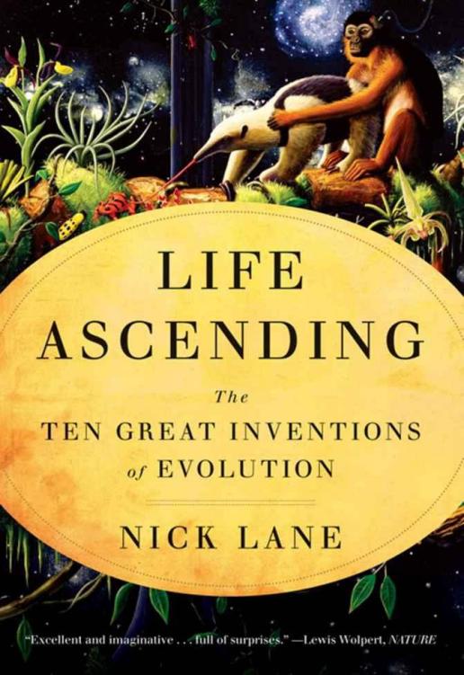 Life Ascending ebook cover