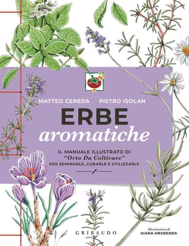 Erbe aromatiche: Il manuale illustrato di &ldquo;Orto da coltivare&rdquo; per seminarle, curarle e utilizzarle ebook cover