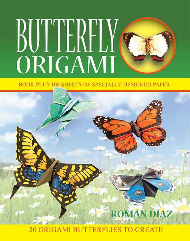 Butterfly Origami ebook cover