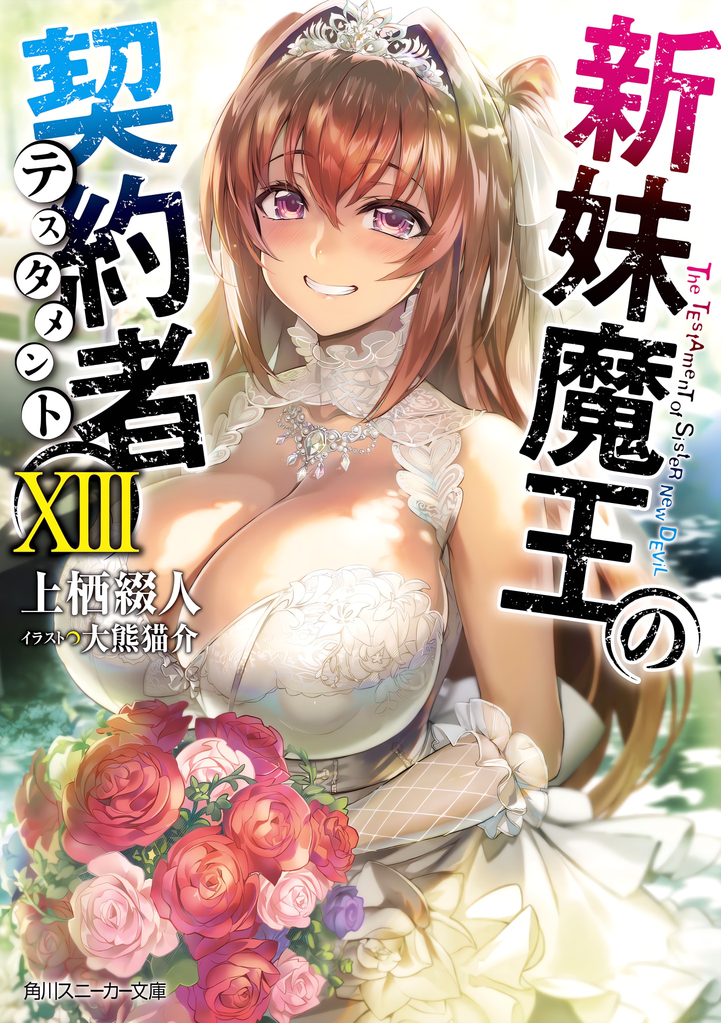 Shinmai Maou no Testament: Volume XIII ebook cover