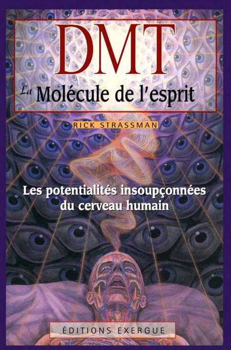 5BZp 5DDMT 5BZb 5D ebook cover