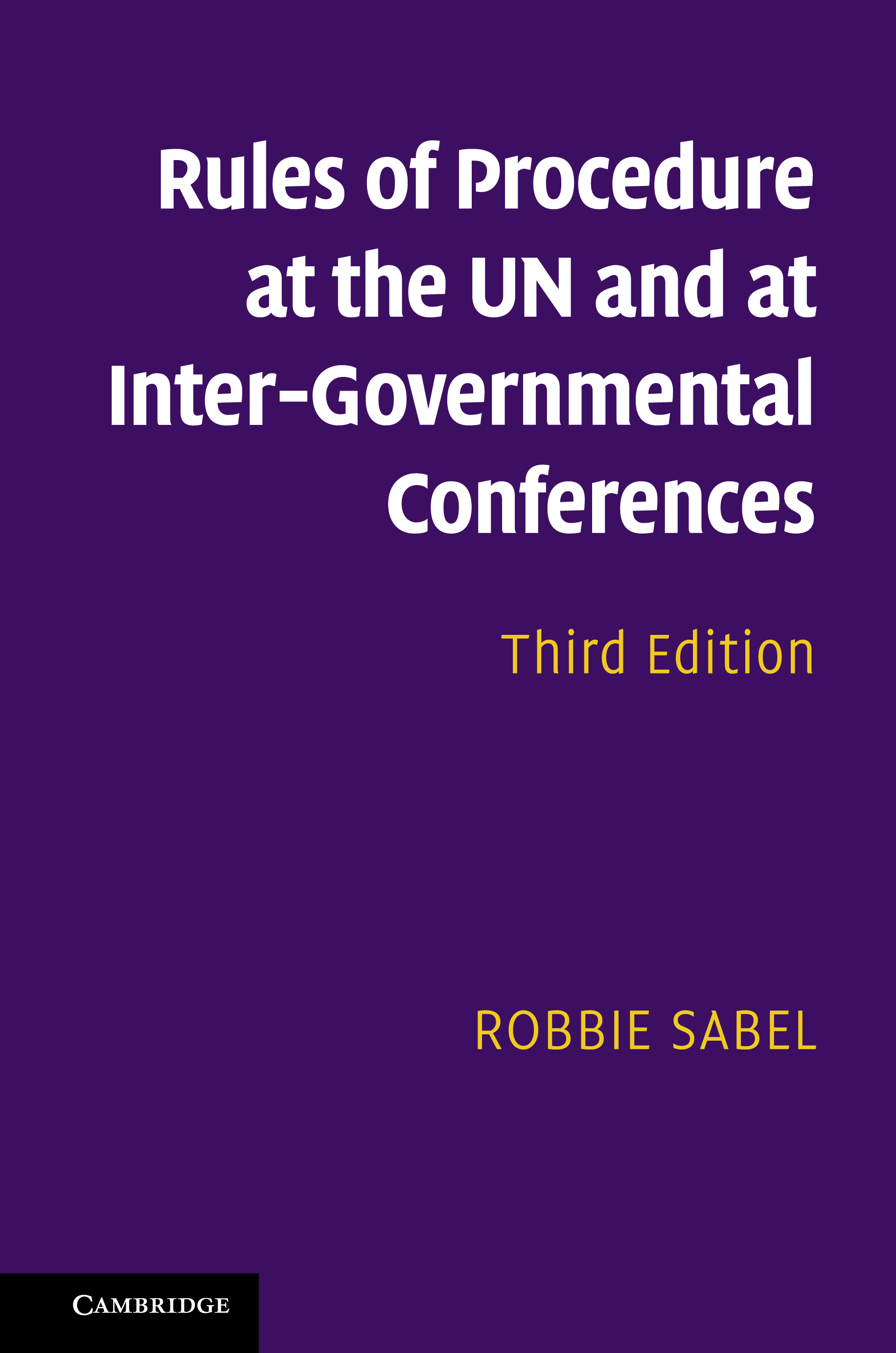 Rules of Procedure at the UN and at Inter-Governmental Conferences ebook cover