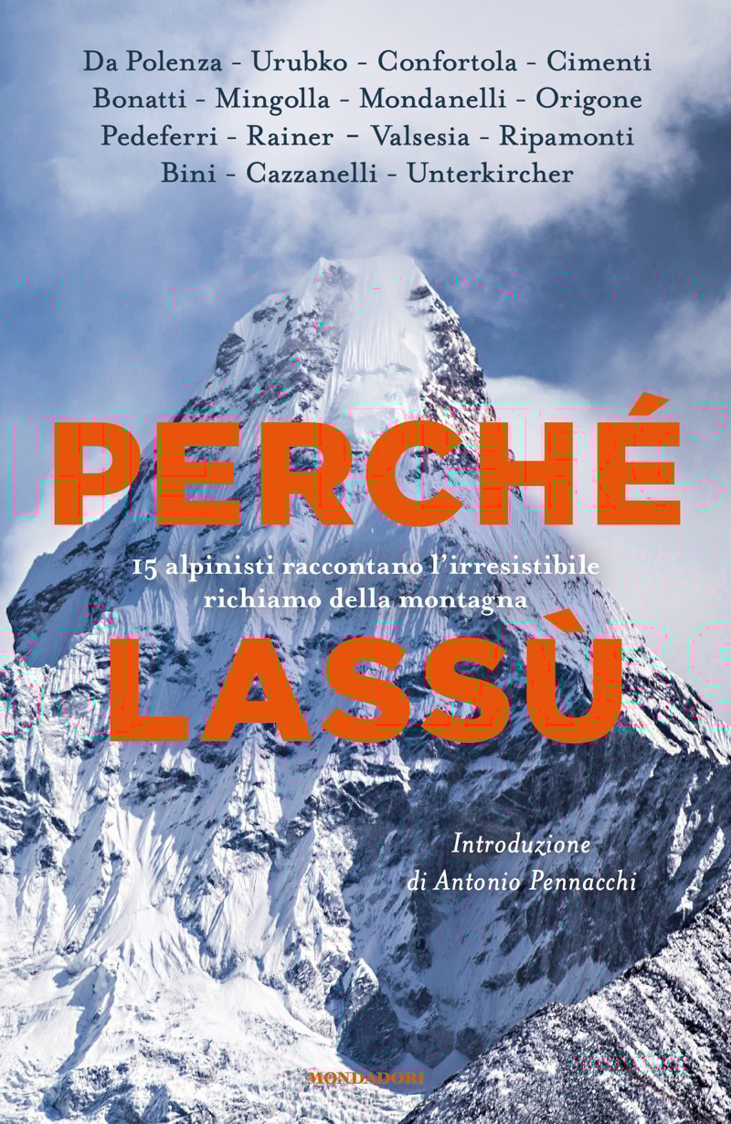 Perch&Atilde;&copy; lass&Atilde;&sup1; ebook cover
