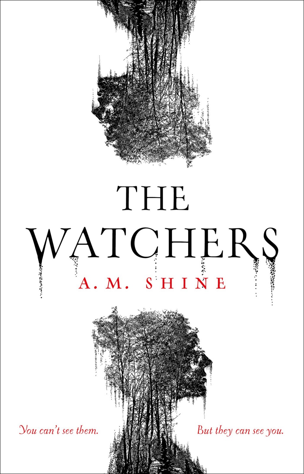 The Watchers ebook cover