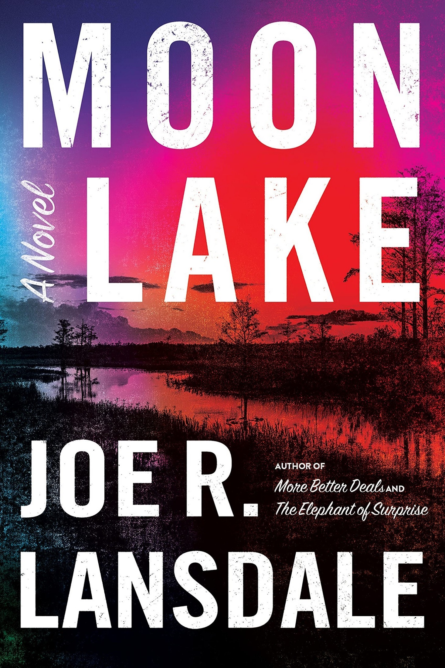 Moon Lake ebook cover