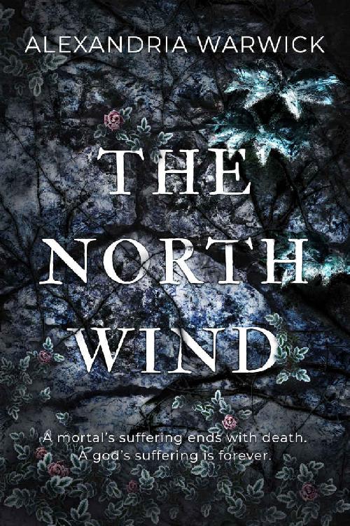 The North Wind ebook cover