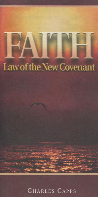 Faith&acirc;&euro;&rdquo;Law of the New Covenant ebook cover