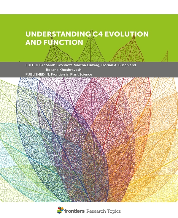 UNDERSTANDING C4 EVOLUTION AND FUNCTION ebook cover
