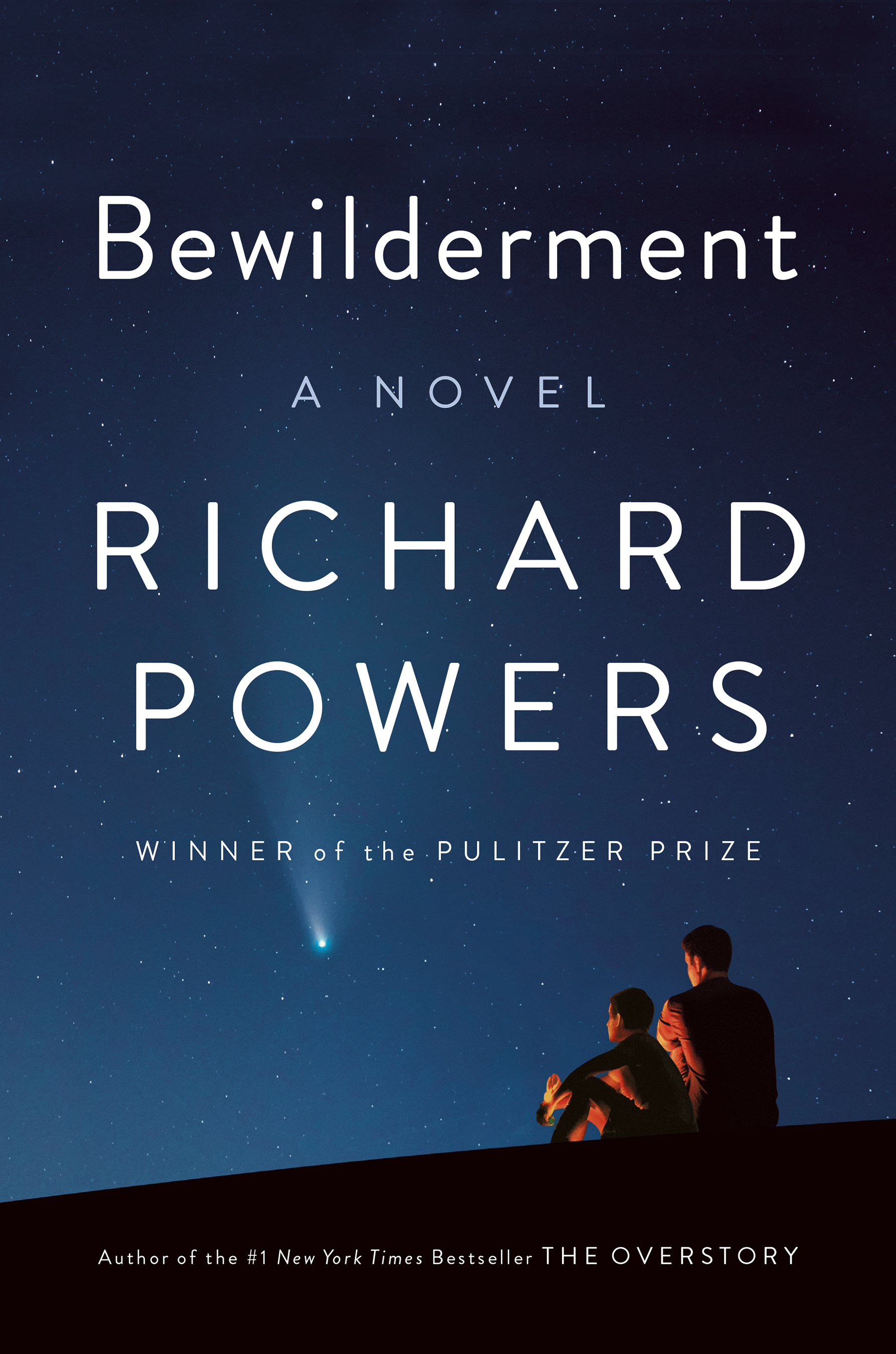 Bewilderment (9780393881158) ebook cover