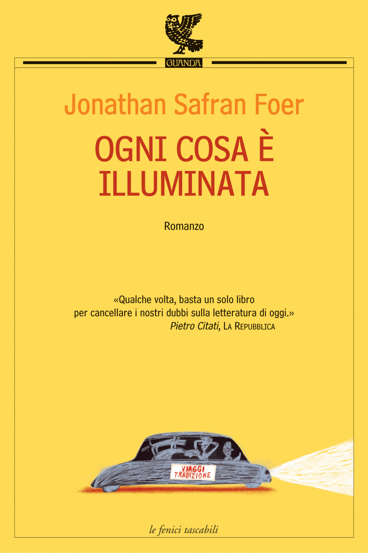 Ogni cosa &Atilde;&uml; illuminata ebook cover