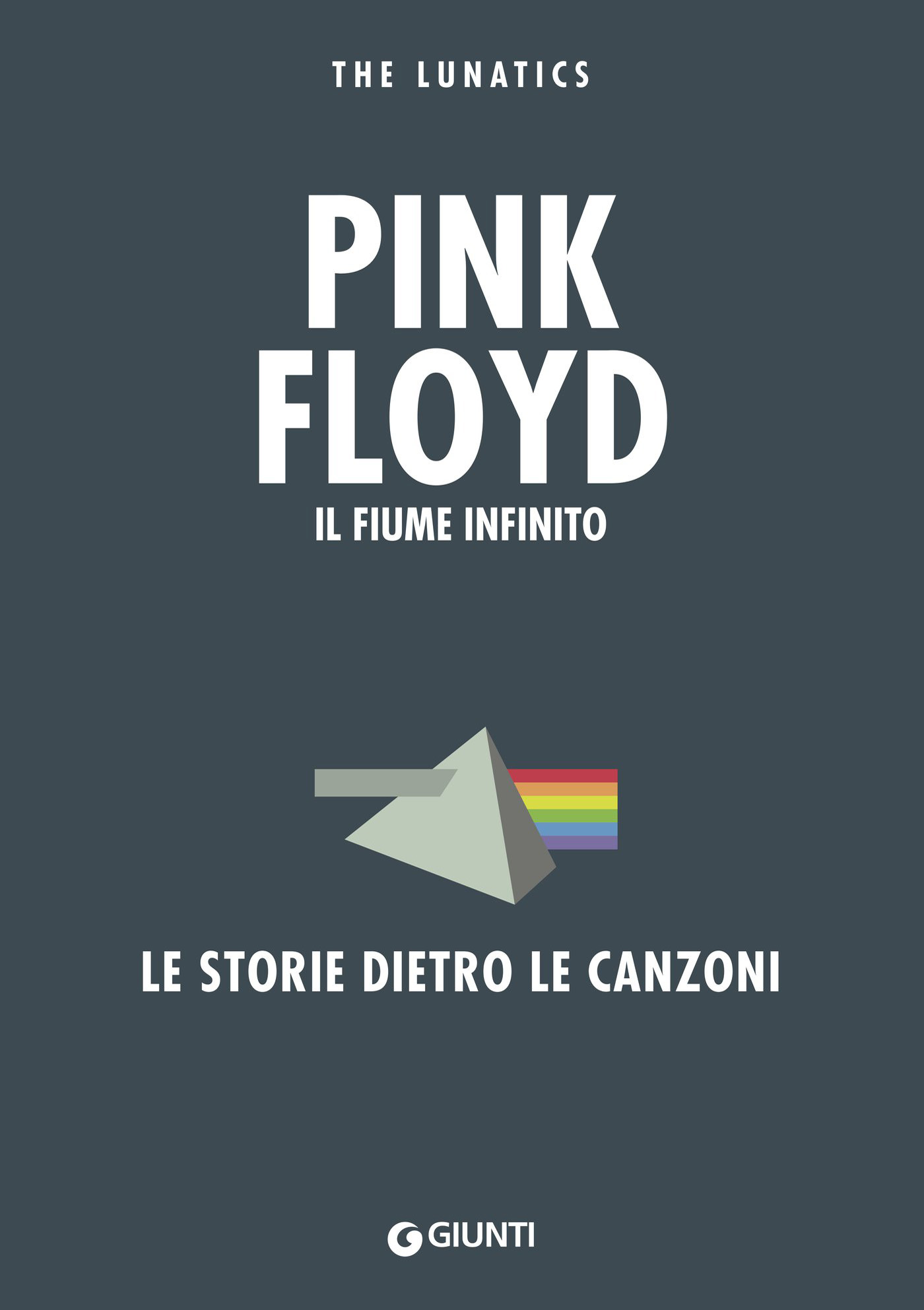 Pink Floyd. Il fiume infinito ebook cover