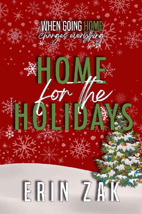 Home for the Holidays ebook cover