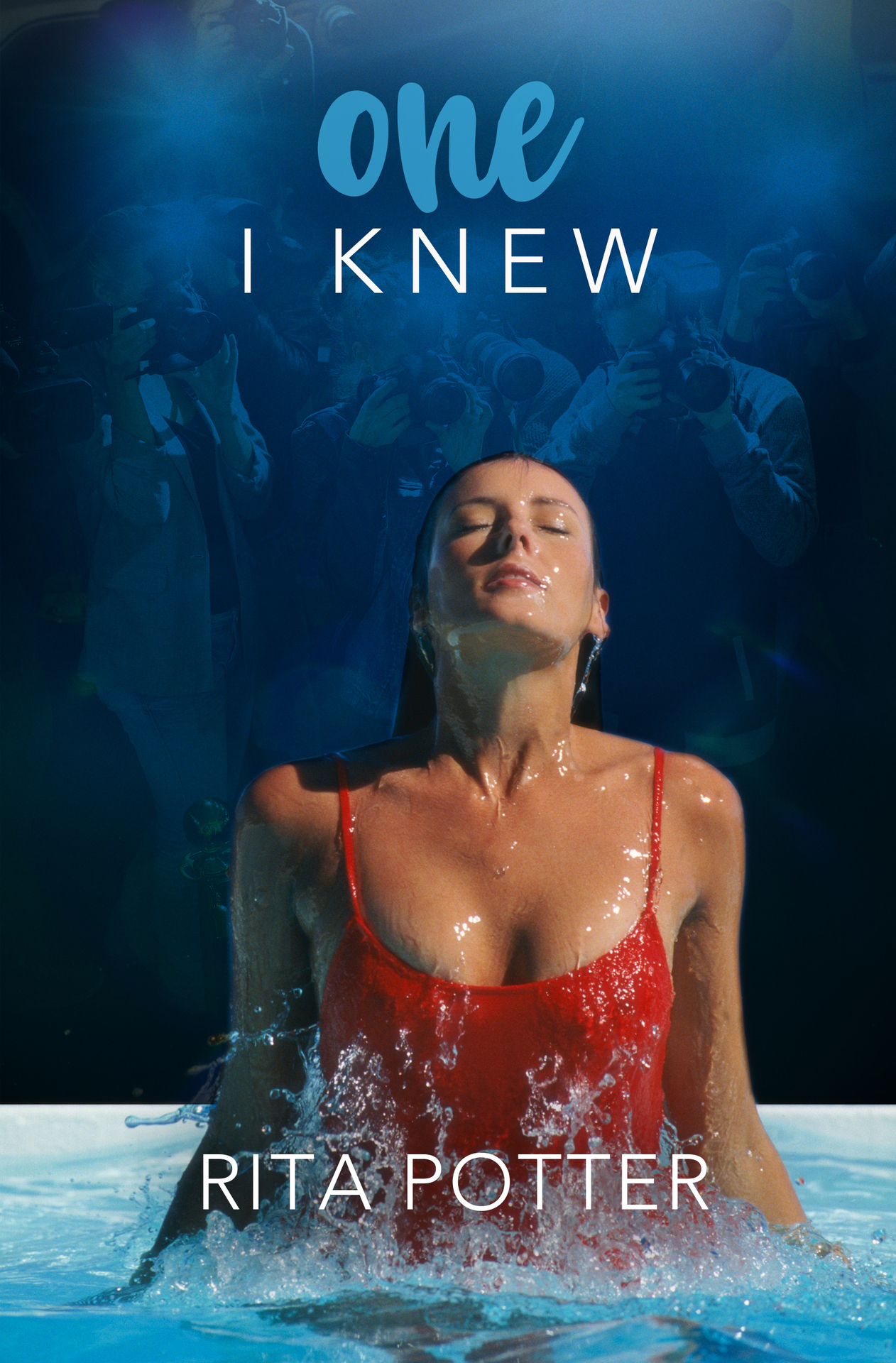 One I Knew ebook cover