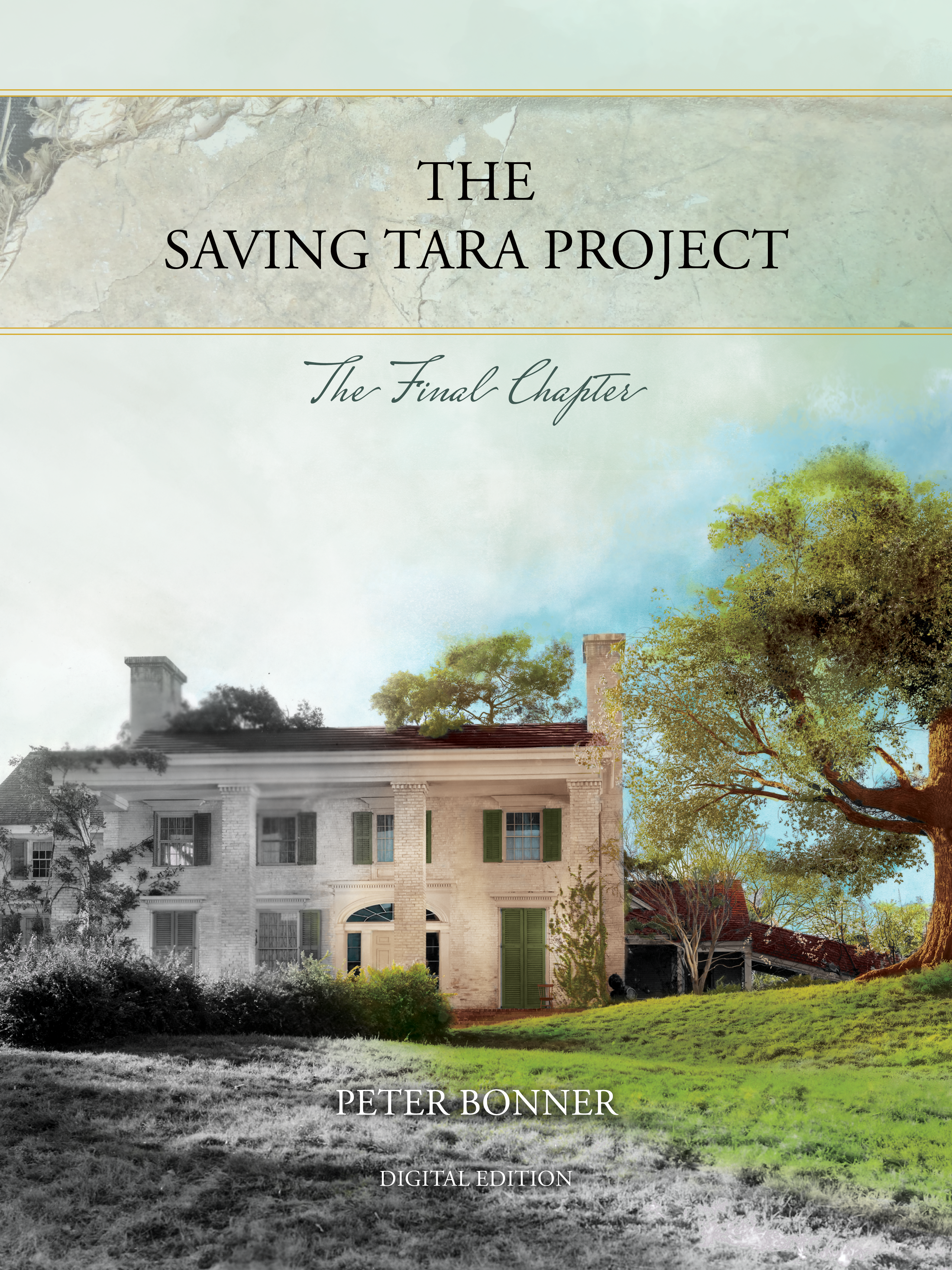 The Saving Tara Project - The Final Chapter ebook cover