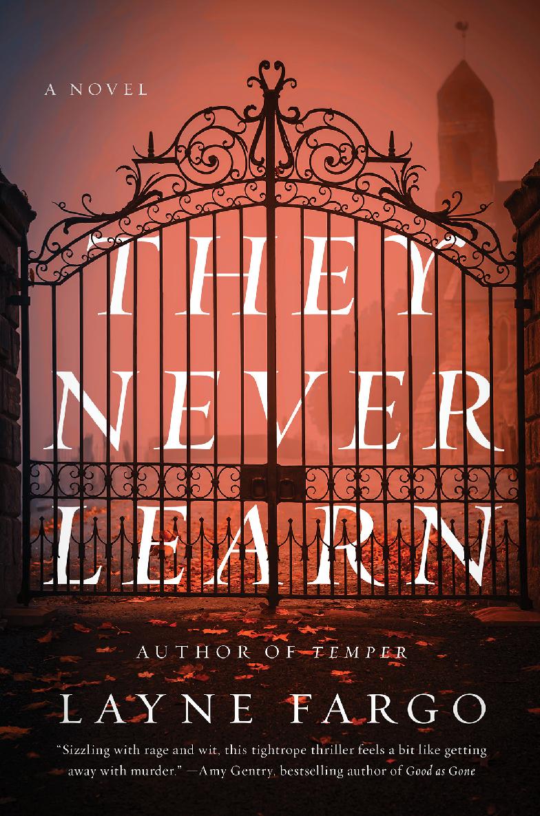 They Never Learn ebook cover